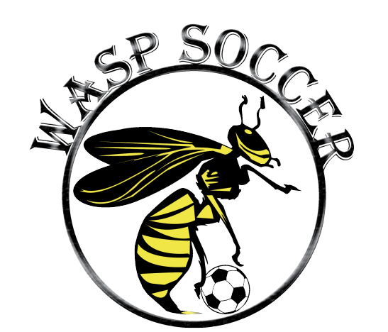 Logo Wasp Soccer