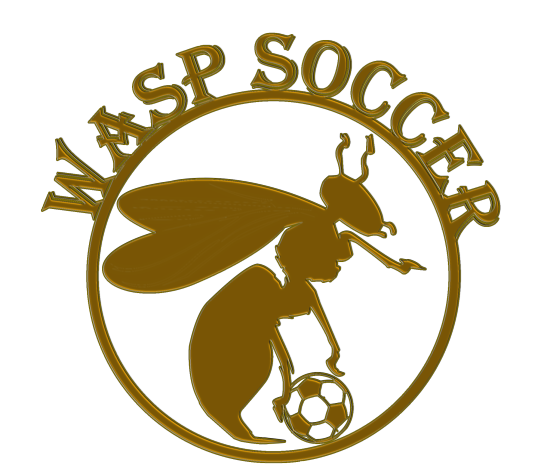 Logo Wasp Soccer gold